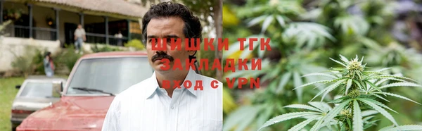 твердый Арсеньев