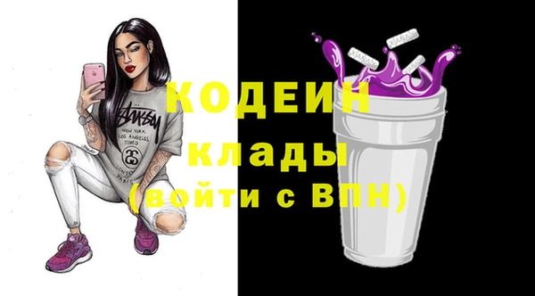 твердый Арсеньев