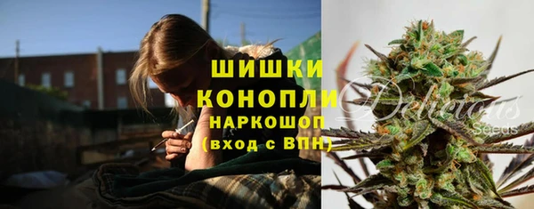 твердый Арсеньев