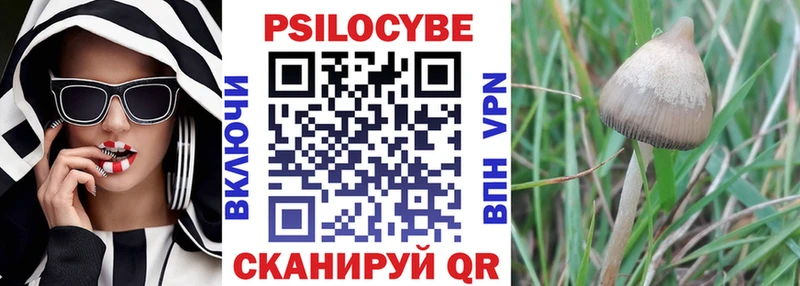 Псилоцибиновые грибы ЛСД  Бакал 