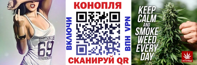 купить наркотик  Бакал  Конопля OG Kush 